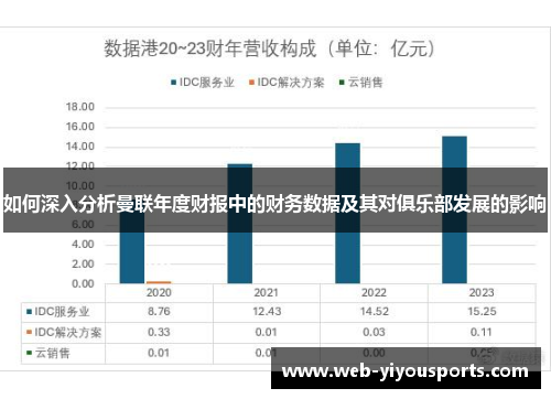 如何深入分析曼联年度财报中的财务数据及其对俱乐部发展的影响
