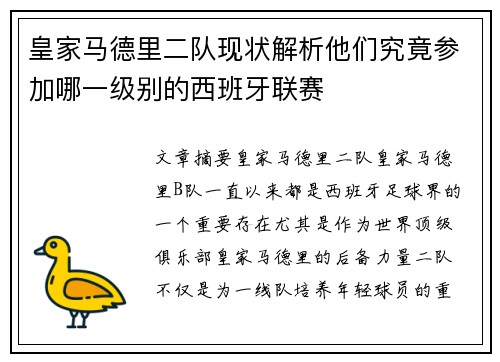 皇家马德里二队现状解析他们究竟参加哪一级别的西班牙联赛